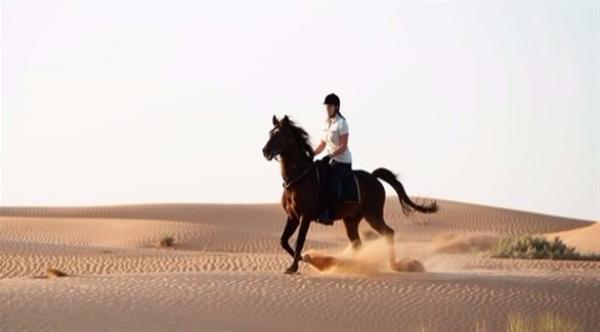 الفروسية.. مثالية لمحاربة آلام الظهر