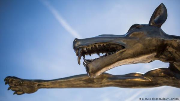 العثور على رأس ذئب ضخم يعود لأكثر من 40 ألف عام