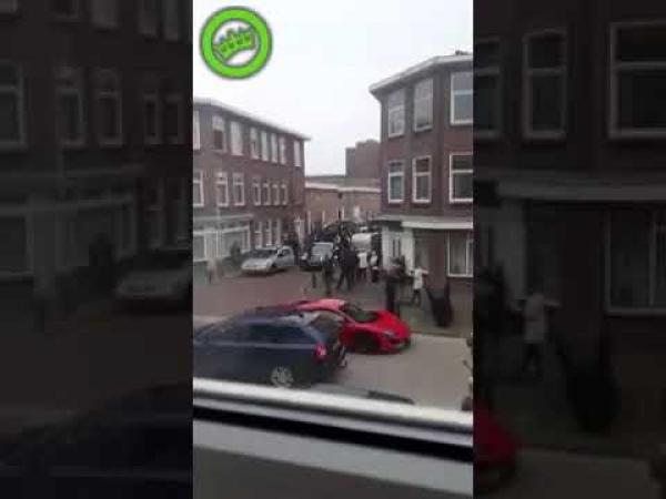 بالفيديو: شجار بين عائلتي عروسين مغربيين في هولندا