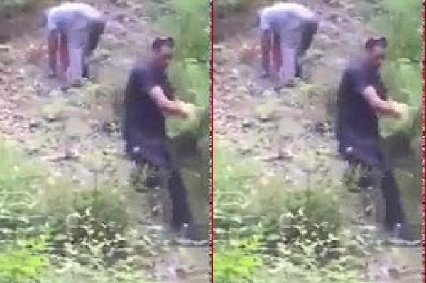 فيديو مضحك ...السيد مقطعين ليه الفرانات