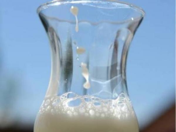 اللبن يمد المعدة بالبكتيريا الصديقة في رمضان