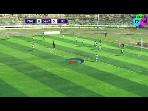 هجوم نحل يوقف مباراة رسمية وهكذا تصرف جميع من في الملعب