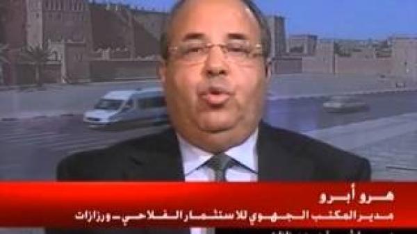 ورزازات: محاربة مرض البيوض الذي يقضي على أشجار النخيل