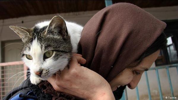 شيخ سعودي: التصوير محرّم ..حتى مع القطط !