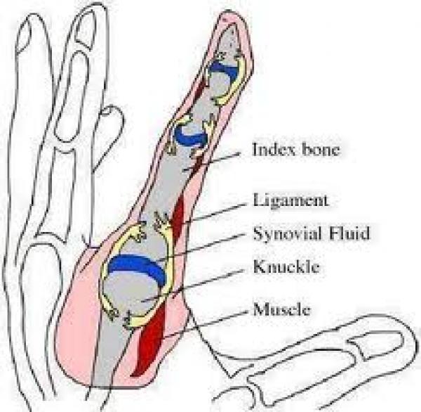 تعرف على مخاطر واضرار فرقعة الأصابع