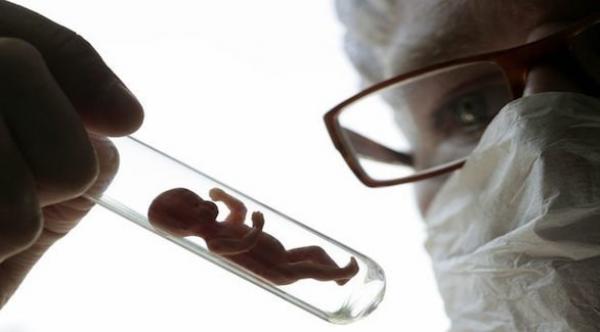 إنتاج بويضات بشرية من خلايا الدم