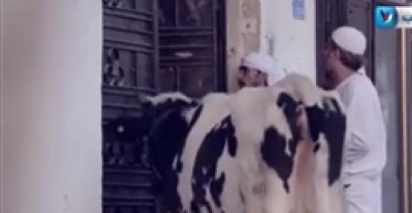 بالفيديو ..كاميرا خفية بفلسطين كادت تتحول الى كارثة بعد استعانة الضحية ببندقية