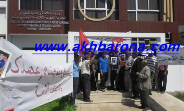 فلاحو الشاوية  في  ووقفة احتجاجية امام المديرية الجهوية للفلاحة بسطات  بعد رفض شركة التأمين تعويضهم عن الجفاف
