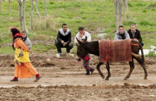 الحكومة تعلن عن نيتها من جديد تخصيص 1000 درهم لكل أسرة فقيرة مقابل التخلي الكلي عن الدعم