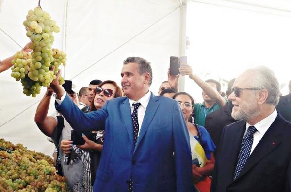 أخنوش يعطي الضوء الأخضر لغرس 500 هكتار من العنب على هامش مهرجان  جماعة الشراط