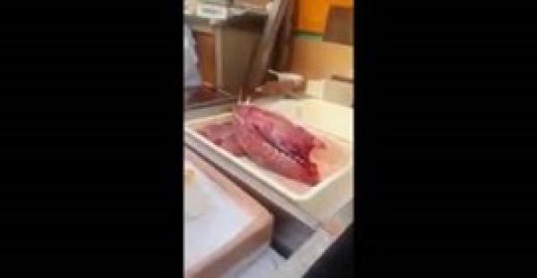 بالفيديو.. سمكة ترفض الموت رغم قطع رأسها وإزالة أحشائها