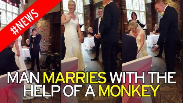 بالفيديو: قرد يسلم الخواتم خلال حفل زفاف