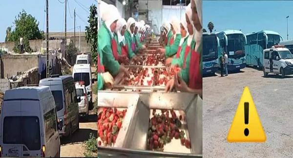 بعد الأرقام المخيفة المسجلة اليوم...هل المغرب مقبل على موجة ثانية أكثر فتكا من فيروس "كورونا"؟