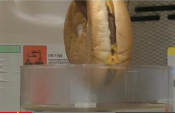 بالفيديو: الآثار السلبية لـ"هامبورجر الجبنة" على معدة الإنسان