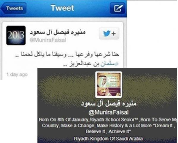 أميرة سعودية: السيف لا يأكل لحم آل سعود