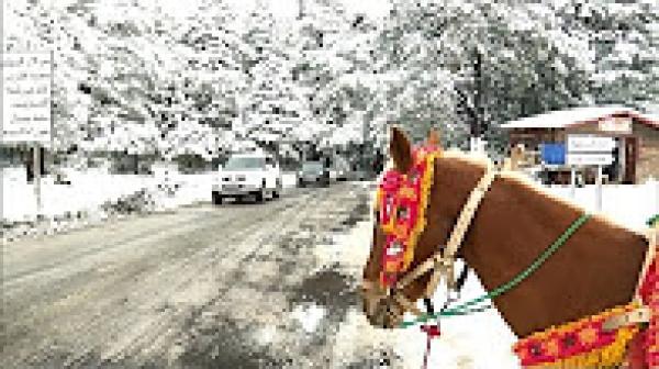 المئات من الزوار يتوافدون على افران للاستمتاع بمناظرها الخلابة