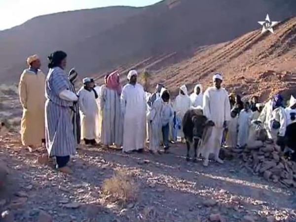 موسم سيدي بوهادي
