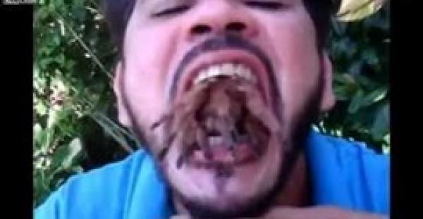 بالفيديو.. شاب يحتفظ بثعبان سام وعنكبوتين عملاقين داخل فمه