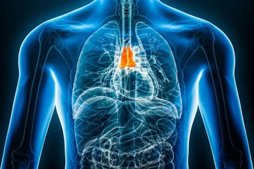 اكتشاف علمي.. عضو منسي قد يكشف مبكرا خطر السرطان وأمراض القلب
