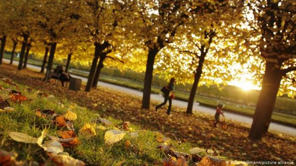 مع التقلبات الجوية.. نصائح لتجنب الأمراض والعدوى الموسمية