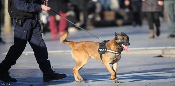 جميلة قصابي، شرطية مغربية جمعت بين حبها لترويض الكلاب وواجب محاربة الجريمة