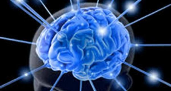 مخ الإنسان يحدد حلول الصيف بنفسه
