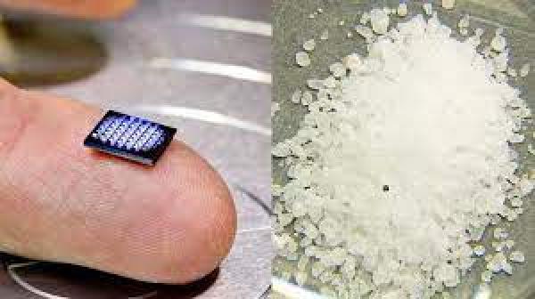 بحجم حبة الملح: تطوير كاميرا مجهرية  بـ"قدرات مذهلة"!