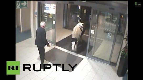 بالفيديو .. حصان خلوق يحني رأسه قبل دخول قسم شرطة!