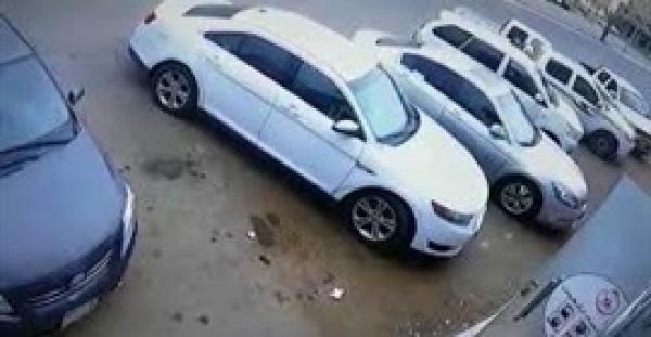 بالفيديو.. لحظة سرقة خروف من صندوق سيارة متوقفة