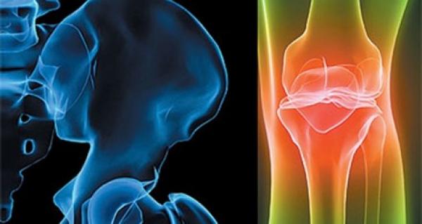 الهيكل العظمي للإنسان أصيب بالهشاشة منذ اكتشاف الزراعة