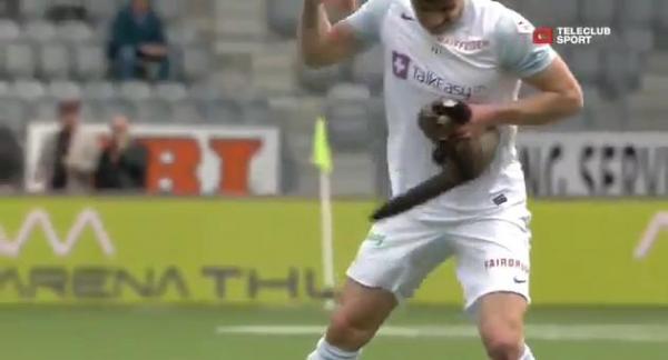 حيوان بري يقتحم ملعب ويعض لاعب وحارس مرمى