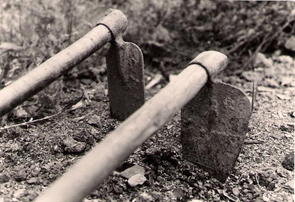 حدث بتارودانت..."مسخوط" يفقد أعصابه وينهال على والده بالضرب حتى الموت