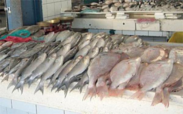 الأسماك الدهنية قد تطيل عمر مرضى سرطان الأمعاء