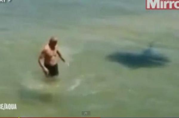 فيديو .. استفزاز السمكة «اللادغة» كاد يودى بحياة سباح