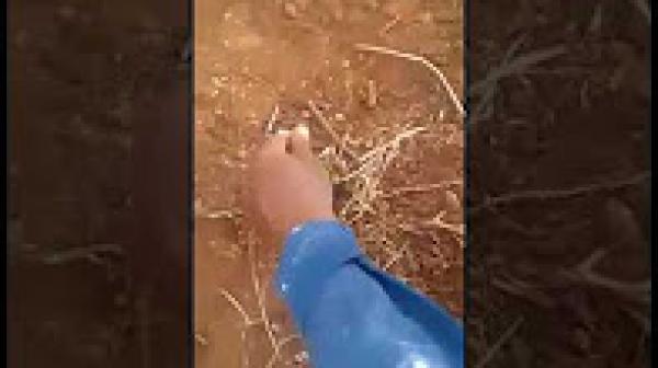 استغلال أيام عاشوراء لأعمال السحر والشعوذة بالمقابر المهجورة