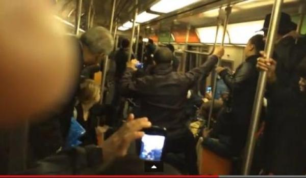 «فأر» يتلاعب بركاب قطار ويحصد 1.5 مليون مشاهدة