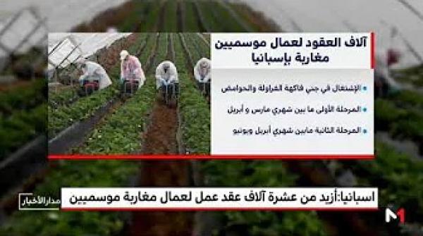 اسبانيا.. أزيد من عشرة ألاف عقد عمل لعمال مغاربة موسميين