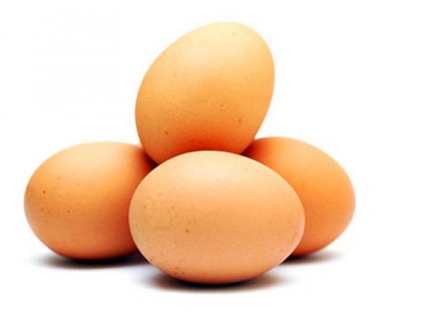 بيضة يوميا لا تضر القلب