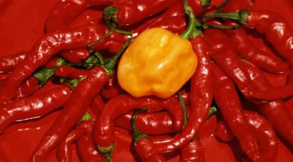 4 علاجات منزلية لمشاكل القلب