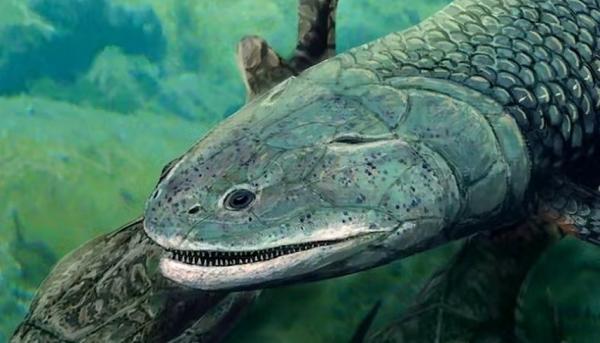كانت تملك القدرة على تنفس الهواء.. سمكة قاتلة عاشت قبل ملايين السنين