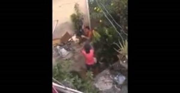 بالفيديو.. امرأة تسقط زوجها بالضربة القاضية