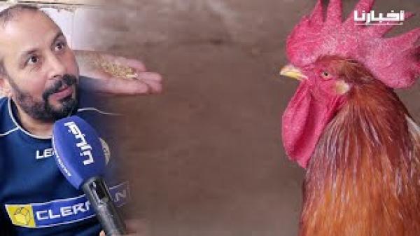 هذه قصة الديك المؤذن التي ألهبت مواقع التواصل الاجتماعي "بحال الصديق ديالي وكيأذن فالوقت