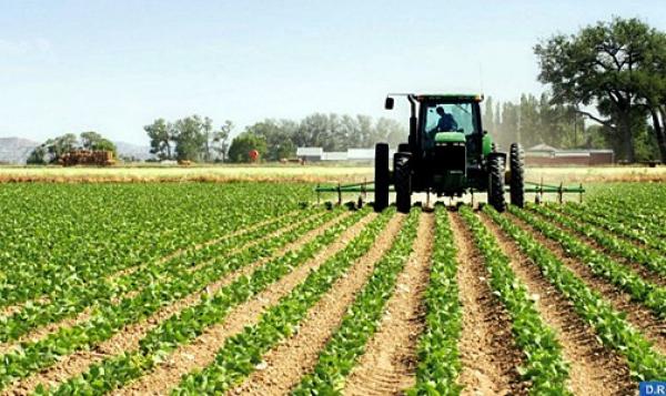 وزارة الفلاحة: الأمطار الأخيرة فأل خير في موسم فلاحي جيد