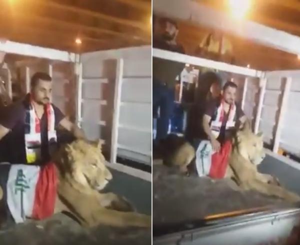 شاب عراقي يصطحب أسدا معه إلى إحدى ساحات المظاهرات لمواجهة كلاب قوات الأمن