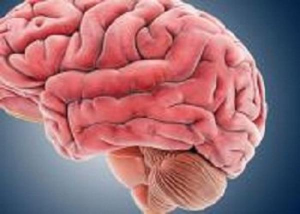 عشر عادات لتصبح أذكى كل يوم !!