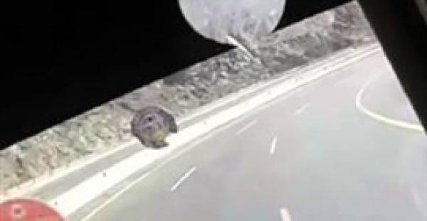 بالفيديو.. لحظة انقلاب حافلة ركاب مصريين بالسعودية