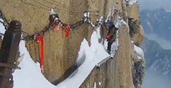 أخطر مهنة في العالم (فيديو)