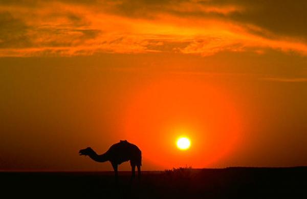 هذه هي الدول التي تعرف ارتفاعا كبيرا في متوسط معدل الحرارة