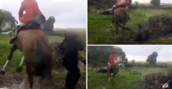 بالفيديو .. لحظة دهس امرأة تحت أقدام حصان