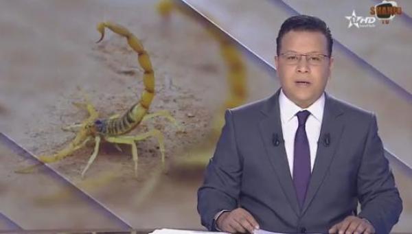 تزايد عدد المصابين بلسعات العقارب بسطات